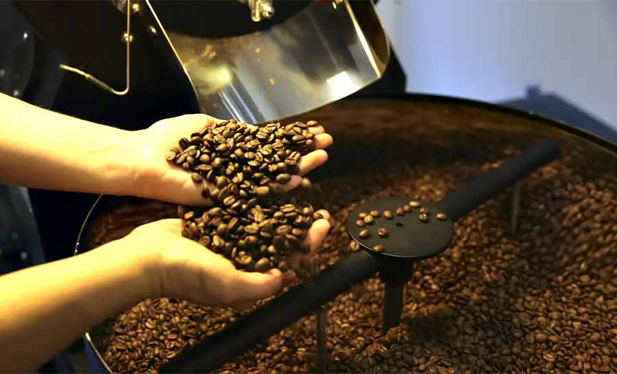 Setor cafeeiro pode ser forçado a redirecionar produção, diz USP