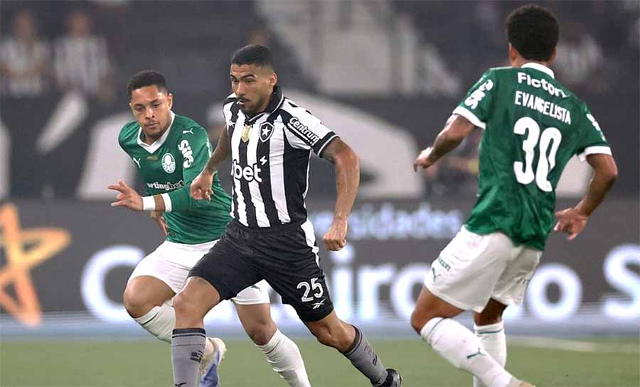 Palmeiras surpreende Botafogo e vence em pleno Nilton Santos