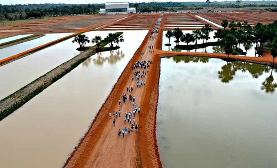 Justiça do AC manda vender o Complexo Industrial Peixes da Amazônia S.A