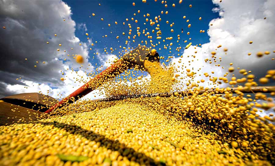 Brasil atinge novo recorde com 350 milhões de toneladas de grãos