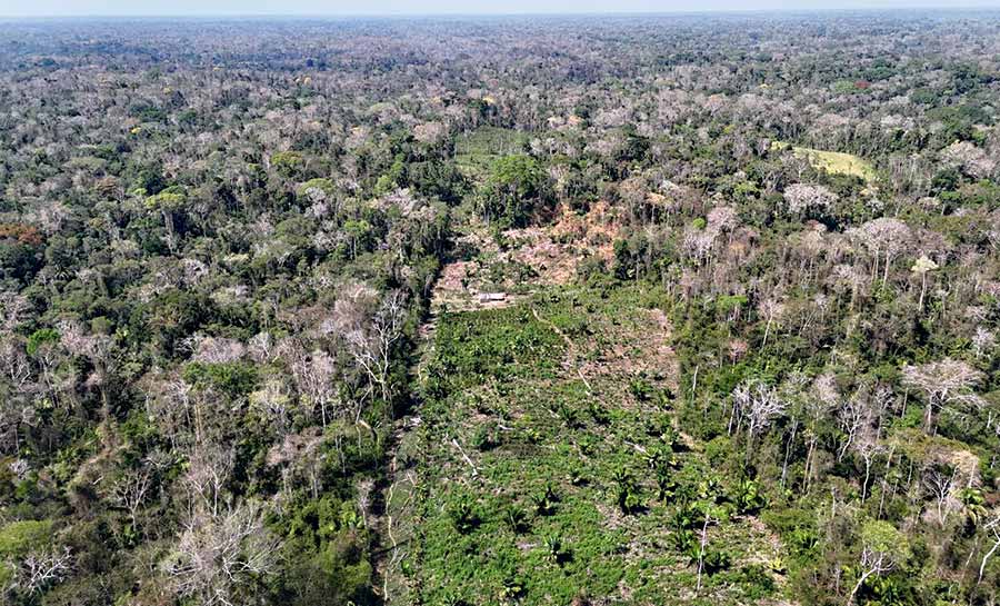 TCE-AC inicia projeto com inteligência artificial para prever desmatamento