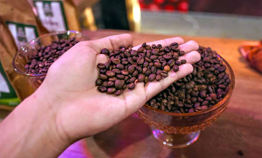 Produtores de café do Acre participam de missão internacional na Itália para fortalecer cadeia produtiva