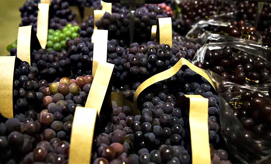 BNDES aprova R$ 1,2 bi para empresas afetadas pelo tarifaço