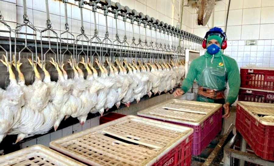 Pecuária do Acre cresce 20% e movimenta R$ 181 milhões com ações do governo que impulsionam a economia rural