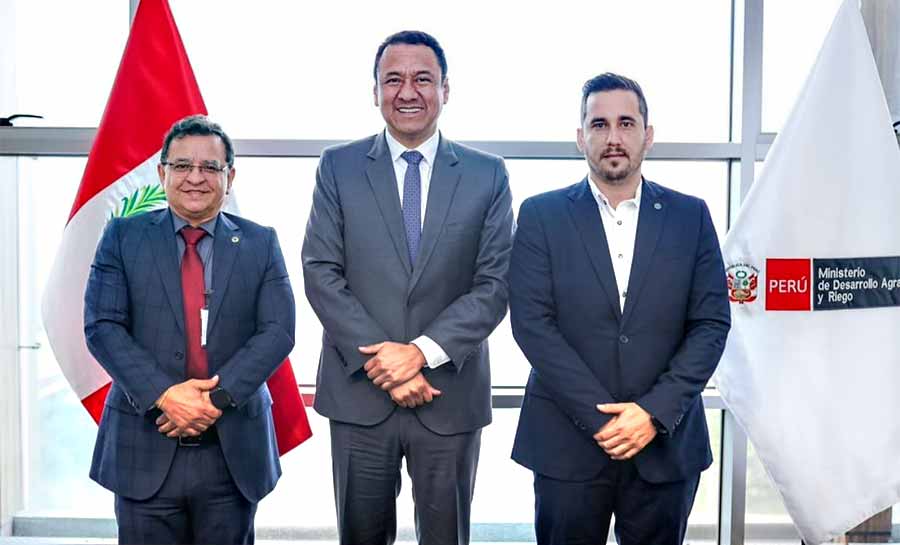 Governo Brasileiro libera importação de morangos vindos do Peru; Gonzaga comemora decisão