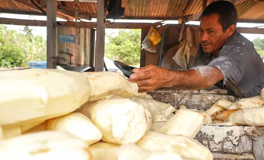Prefeitura de Rio Branco finaliza preparativos para a 2ª edição do Festival da Macaxeira e Agronegócio
