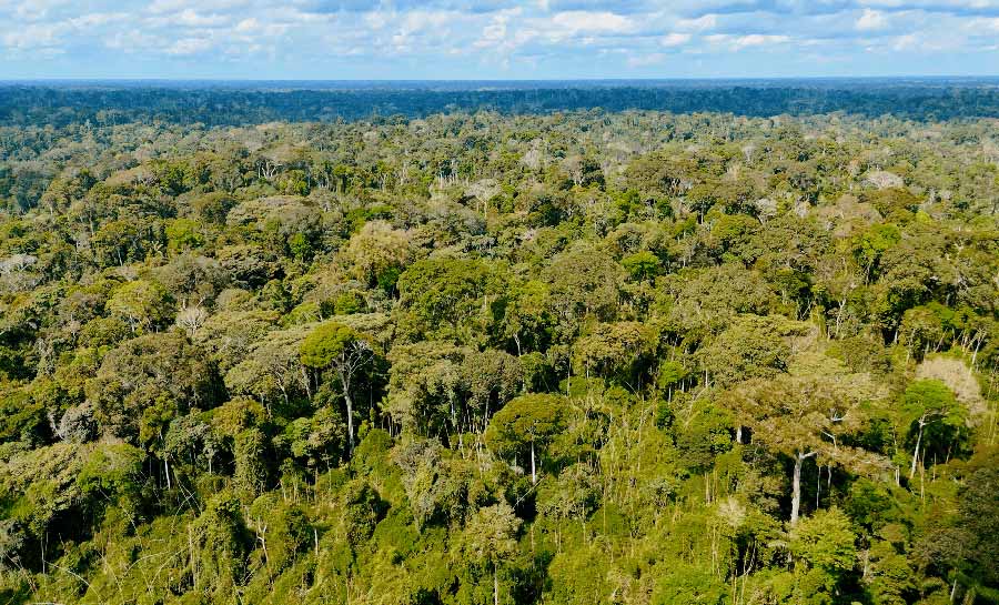 Acre reduz focos de queimadas em 78% e fortalece combate aos crimes ambientais