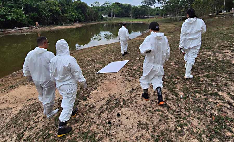Acre fortalece vigilância em saúde com capacitação em febre maculosa