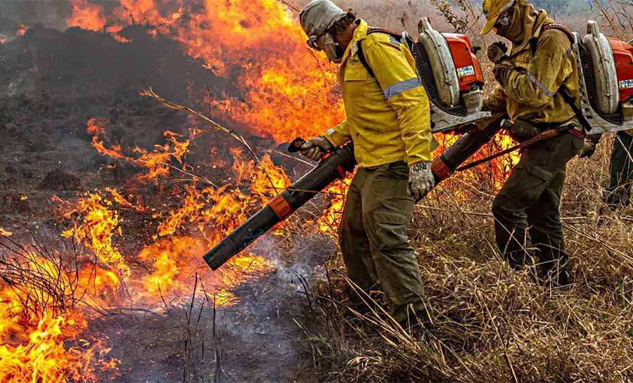 Pré-COP: Brasil propõe resposta global a incêndios florestais