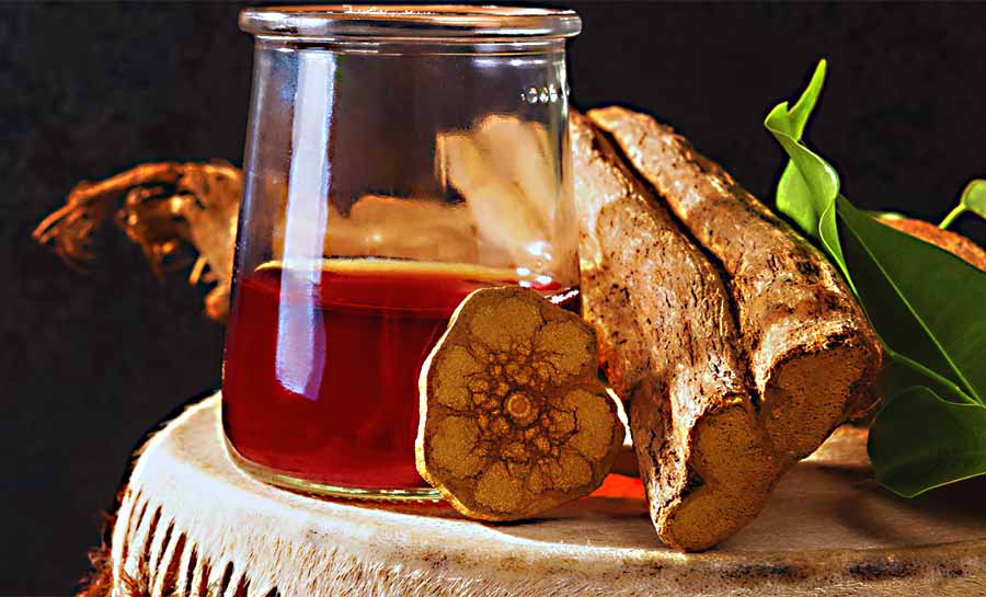 MPF realiza audiência pública no Acre para discutir proteção ao uso sacramental da ayahuasca