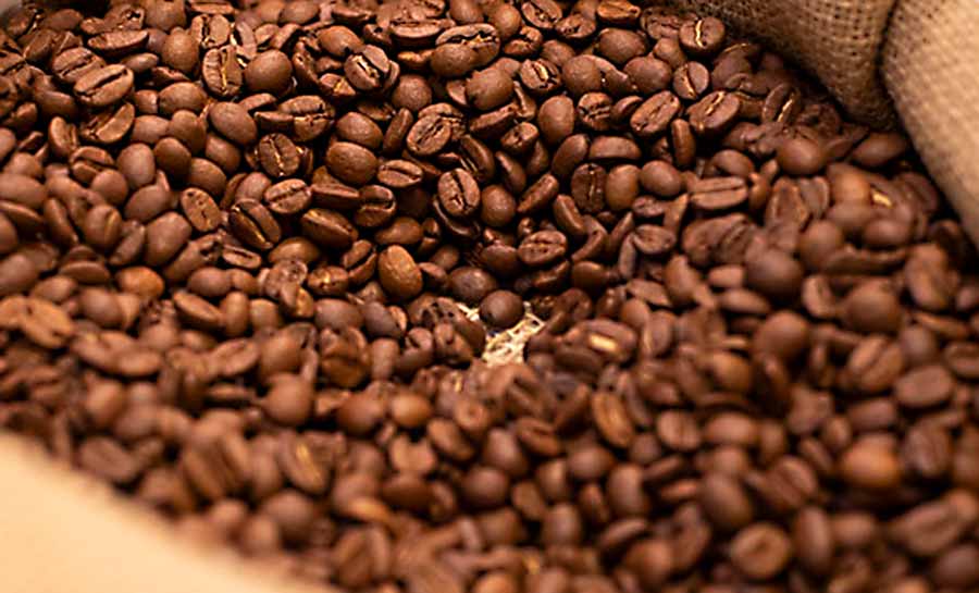 Café acreano estará em destaque durante a Semana Internacional do Café