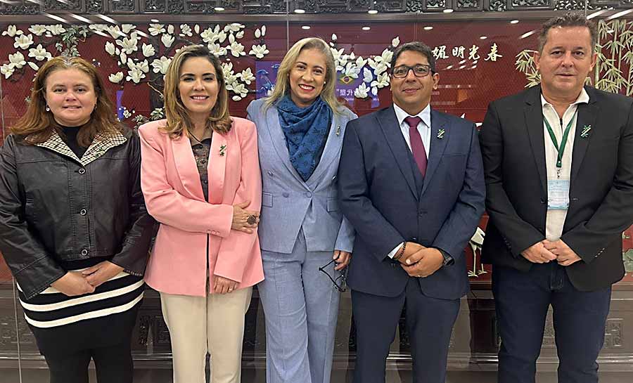 Acreanos voltam da China com especialização em bambu