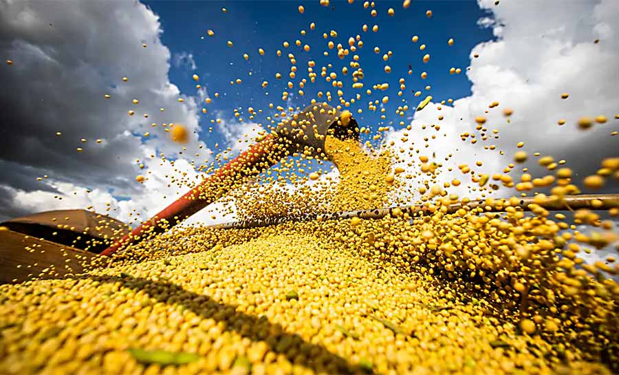 Brasil estima colheita de 354,8 milhões de toneladas de grãos