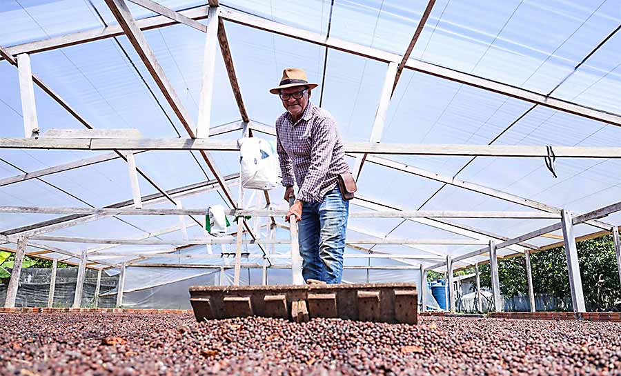 Incentivo e capacitação técnica fazem produção de café no Acre dobrar e alcançar mais de 6 mil toneladas