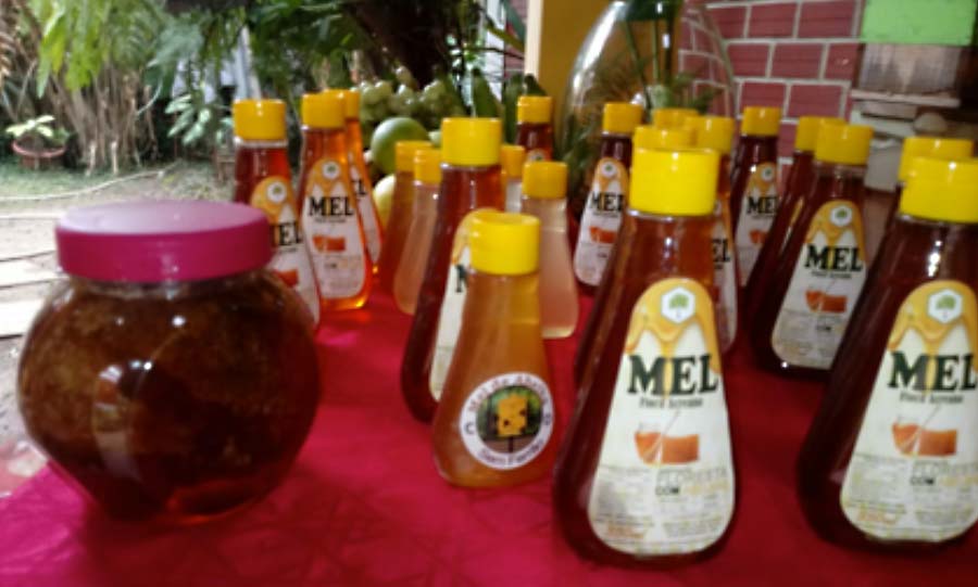 mel 003a