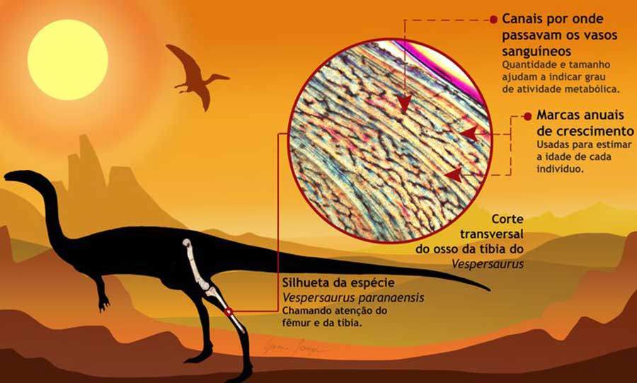 reconstrucao do dinossauro arte de geovane souza web