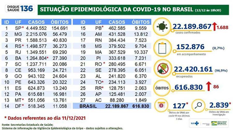 grafico web